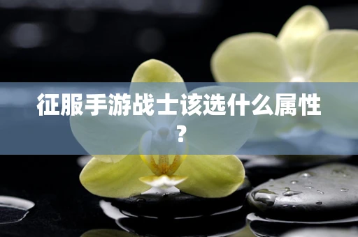 征服手游战士该选什么属性？
