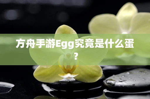 方舟手游Egg究竟是什么蛋？