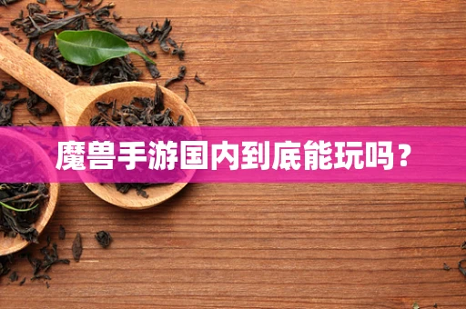 魔兽手游国内到底能玩吗？