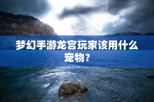 梦幻手游龙宫玩家该用什么宠物？