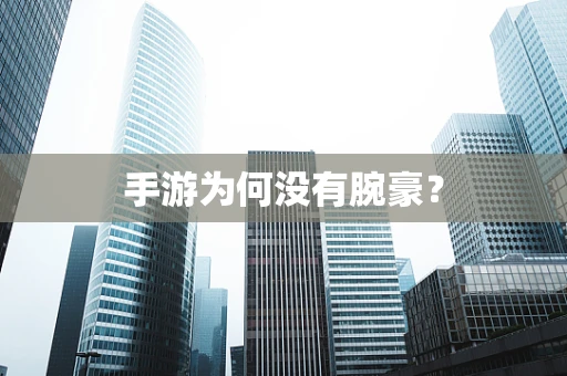 手游为何没有腕豪？