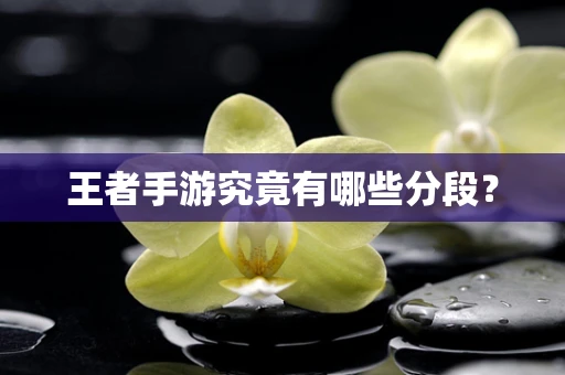 王者手游究竟有哪些分段？