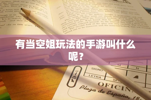 有当空姐玩法的手游叫什么呢？