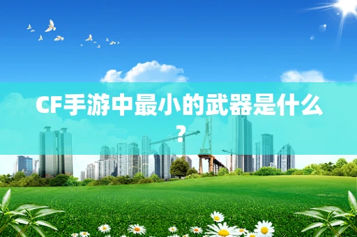 CF手游中最小的武器是什么？
