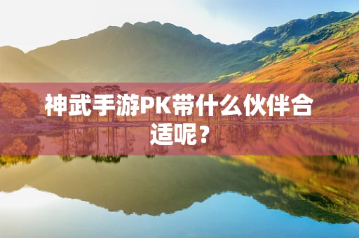 神武手游PK带什么伙伴合适呢？
