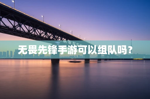 无畏先锋手游可以组队吗？