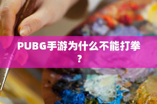 PUBG手游为什么不能打拳？