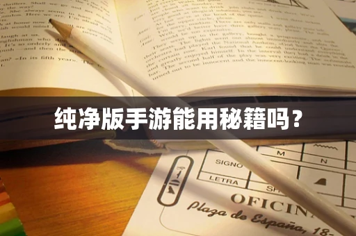 纯净版手游能用秘籍吗？