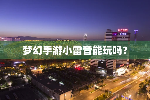 梦幻手游小雷音能玩吗？