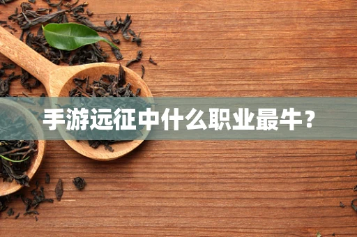 手游远征中什么职业最牛？