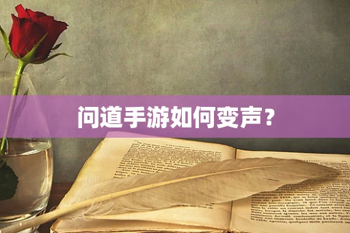 问道手游如何变声？