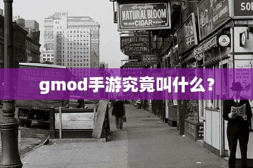 gmod手游究竟叫什么？