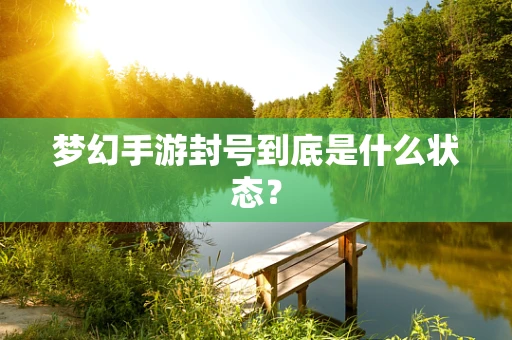梦幻手游封号到底是什么状态？