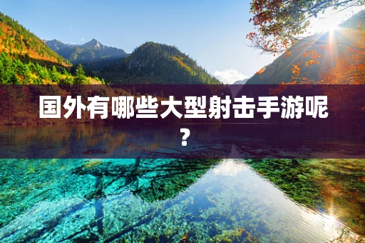 国外有哪些大型射击手游呢？
