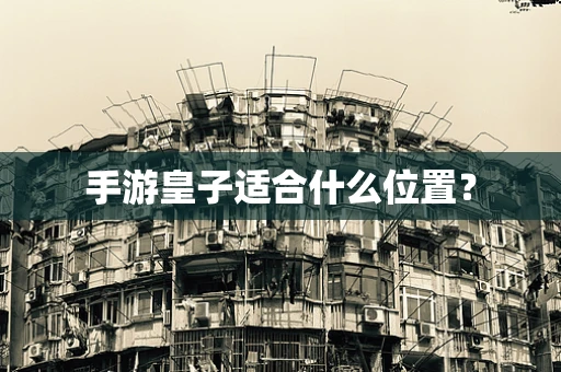 手游皇子适合什么位置？