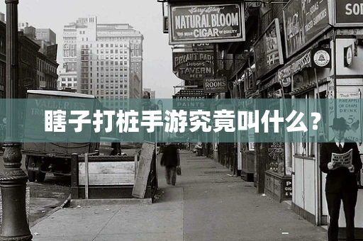 瞎子打桩手游究竟叫什么？