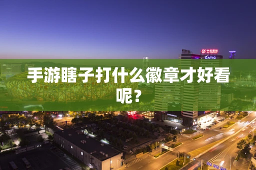 手游瞎子打什么徽章才好看呢？