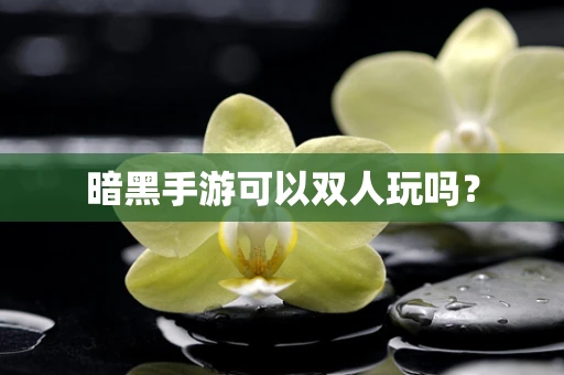 暗黑手游可以双人玩吗？