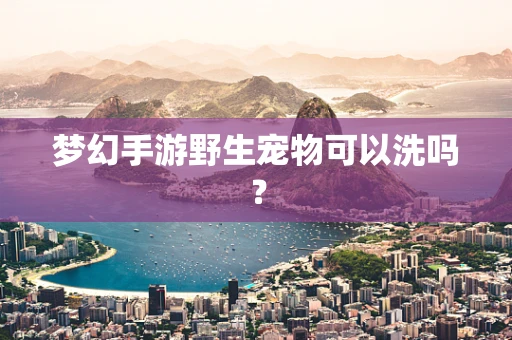 梦幻手游野生宠物可以洗吗？