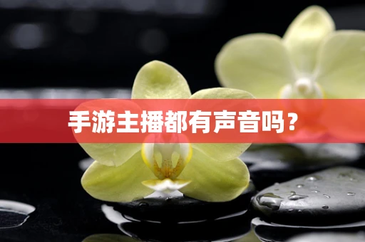 手游主播都有声音吗？