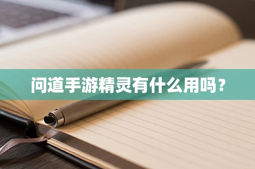 问道手游精灵有什么用吗？