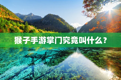 猴子手游掌门究竟叫什么？